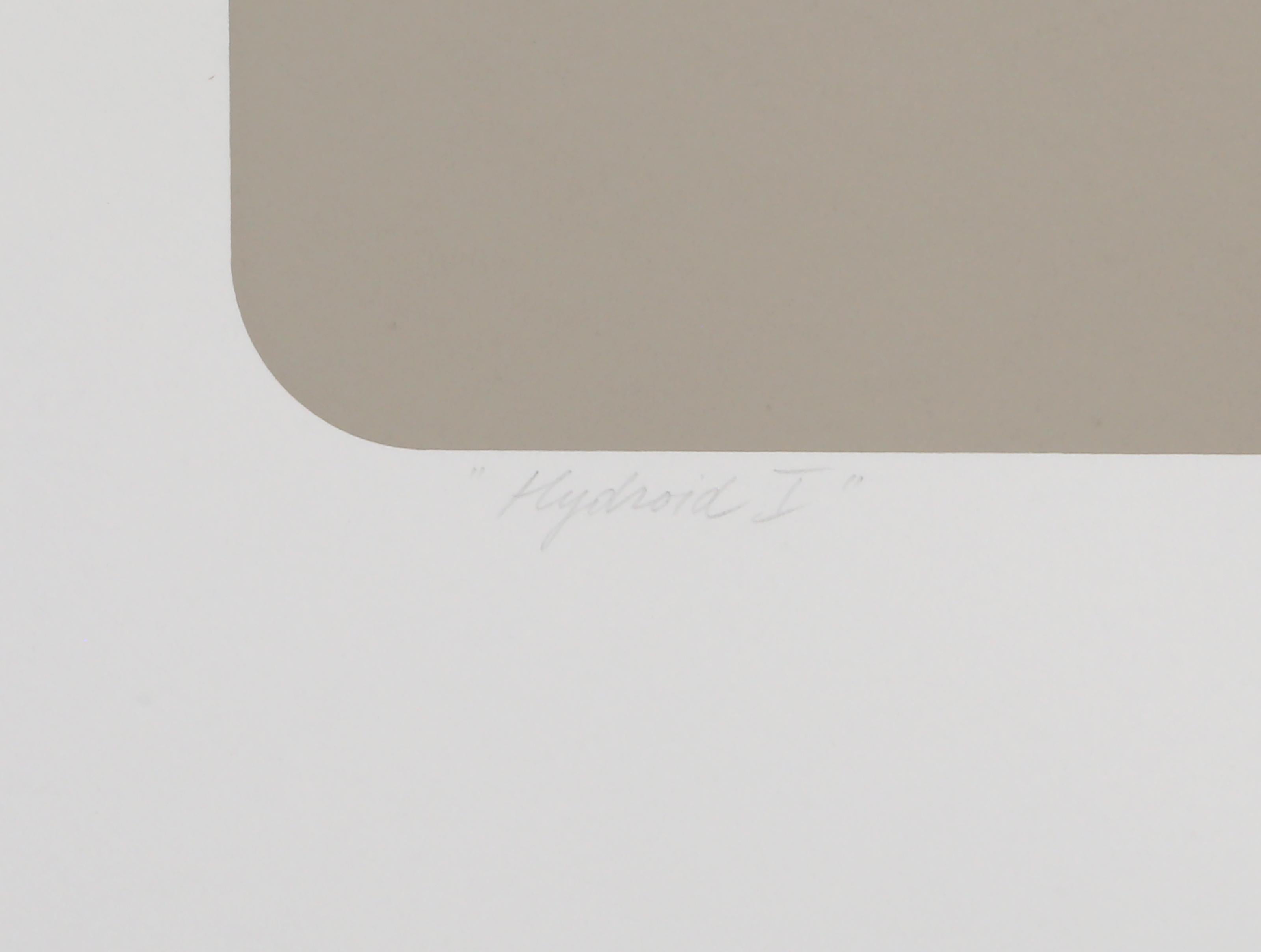 Hydroid I, Geometrischer abstrakter Siebdruck von Marko Spalatin im Angebot 4
