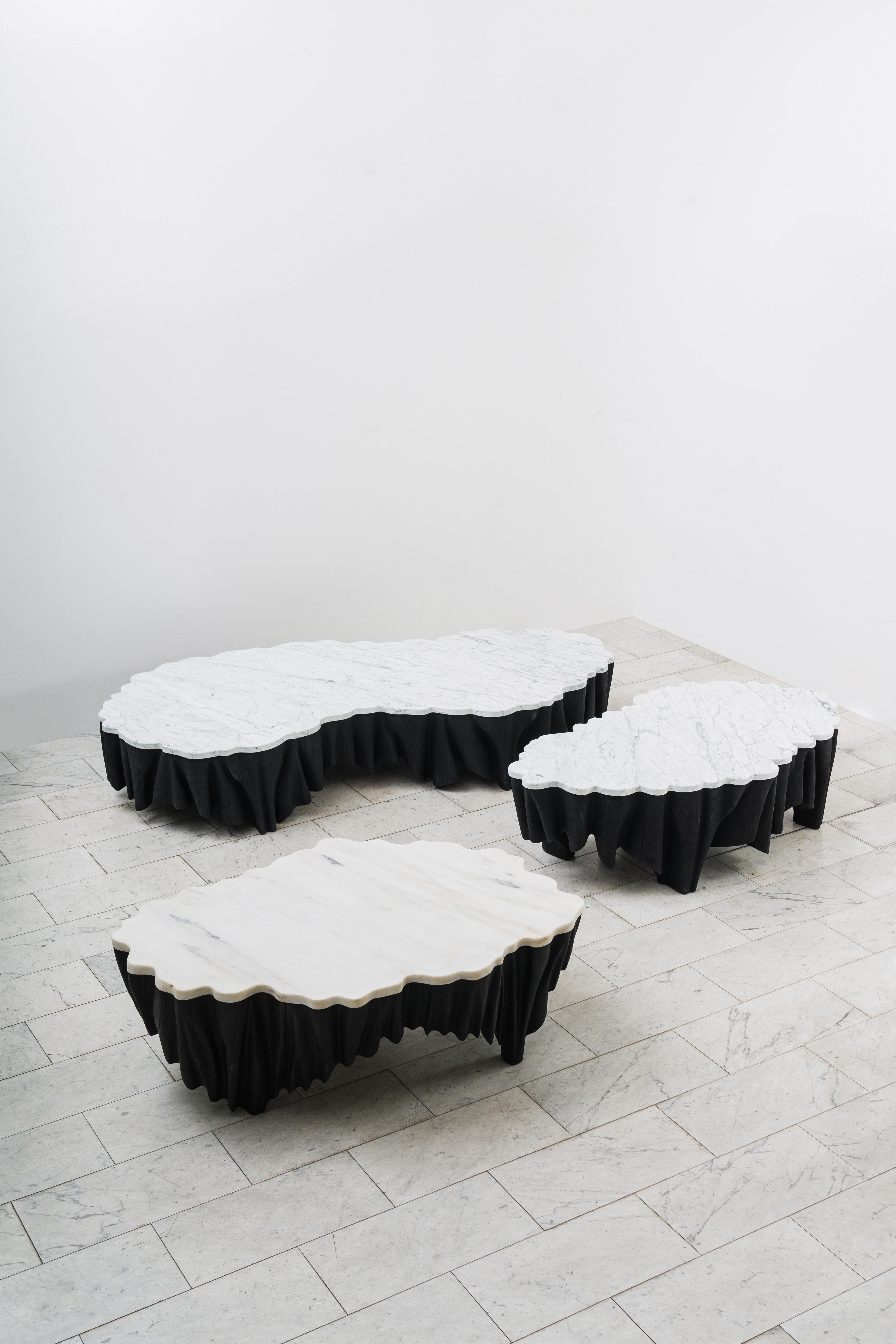 Markus Haase, Ash and Marble Aeolian Low Table iii, Usa For Sale 6