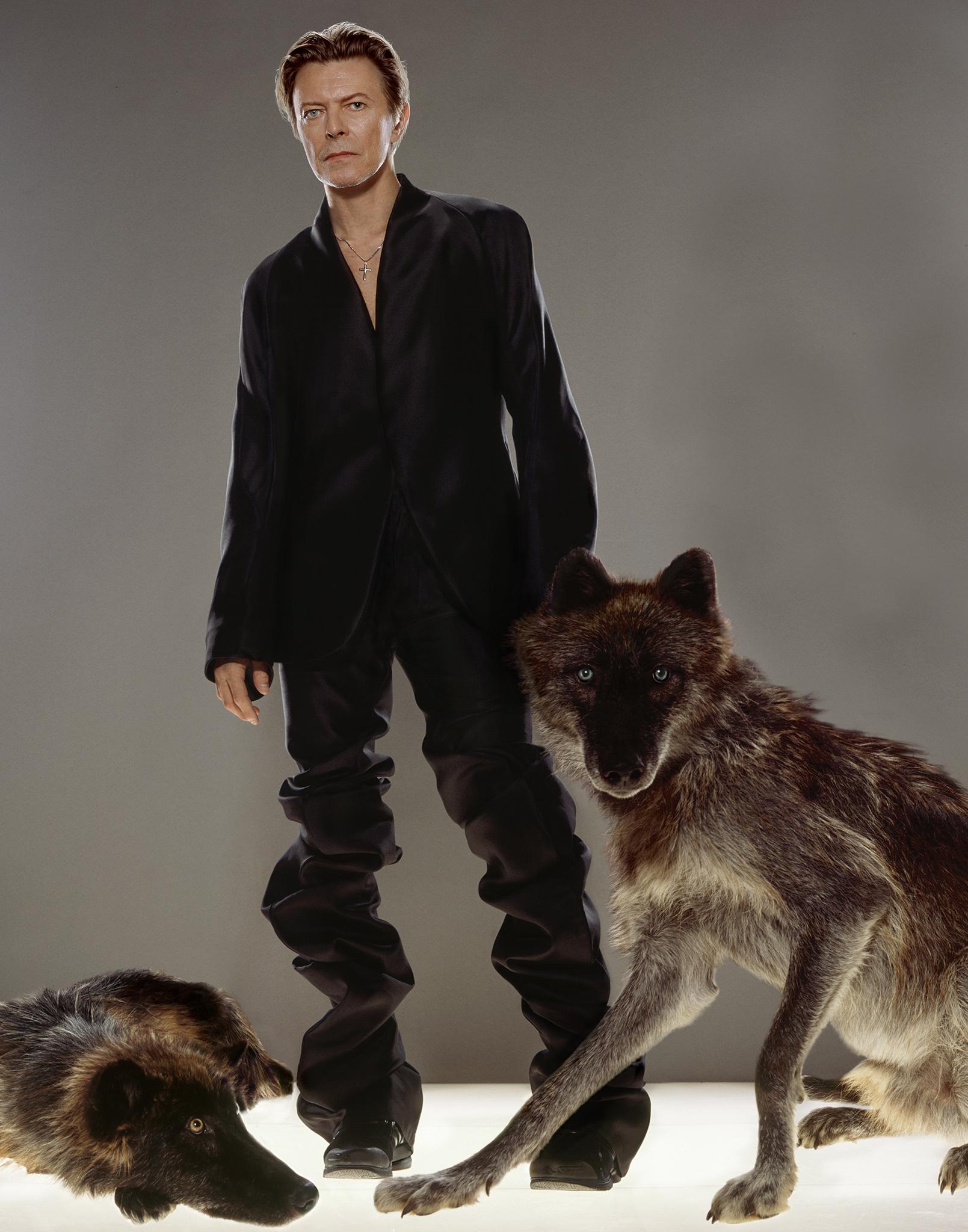 Museum quality fine art print of David Bowie by photographer Markus Klinko, from his celebrated collection "Bowie Unseen", released for the first time in 2016.

This stunning shot of David Bowie with a wolf is from a shoot for British GQ Magazine in
