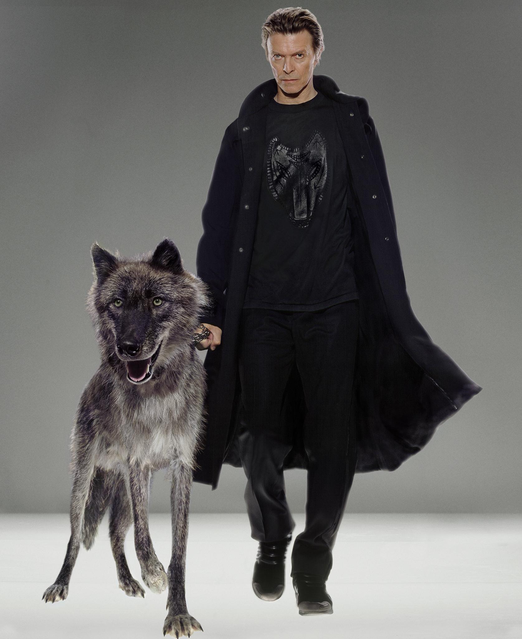 Markus Klinko Figurative Photograph - Natural Villains - superstar David Bowie in black clothing with wolf