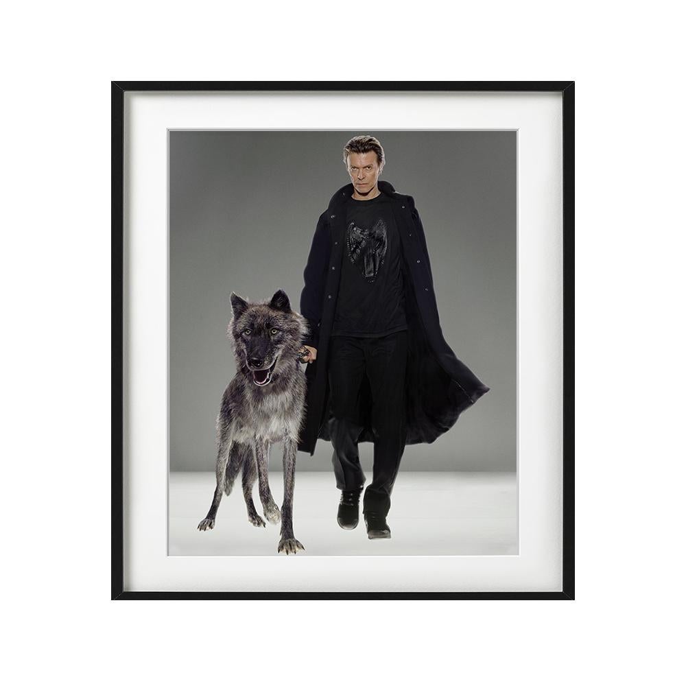 Natural Villains - superstar David Bowie in black clothing with wolf - Black Figurative Photograph by Markus Klinko