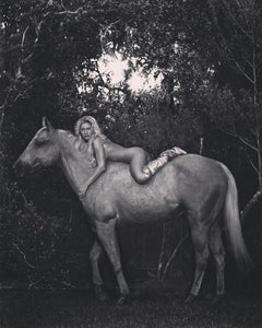 Sable, The Horse