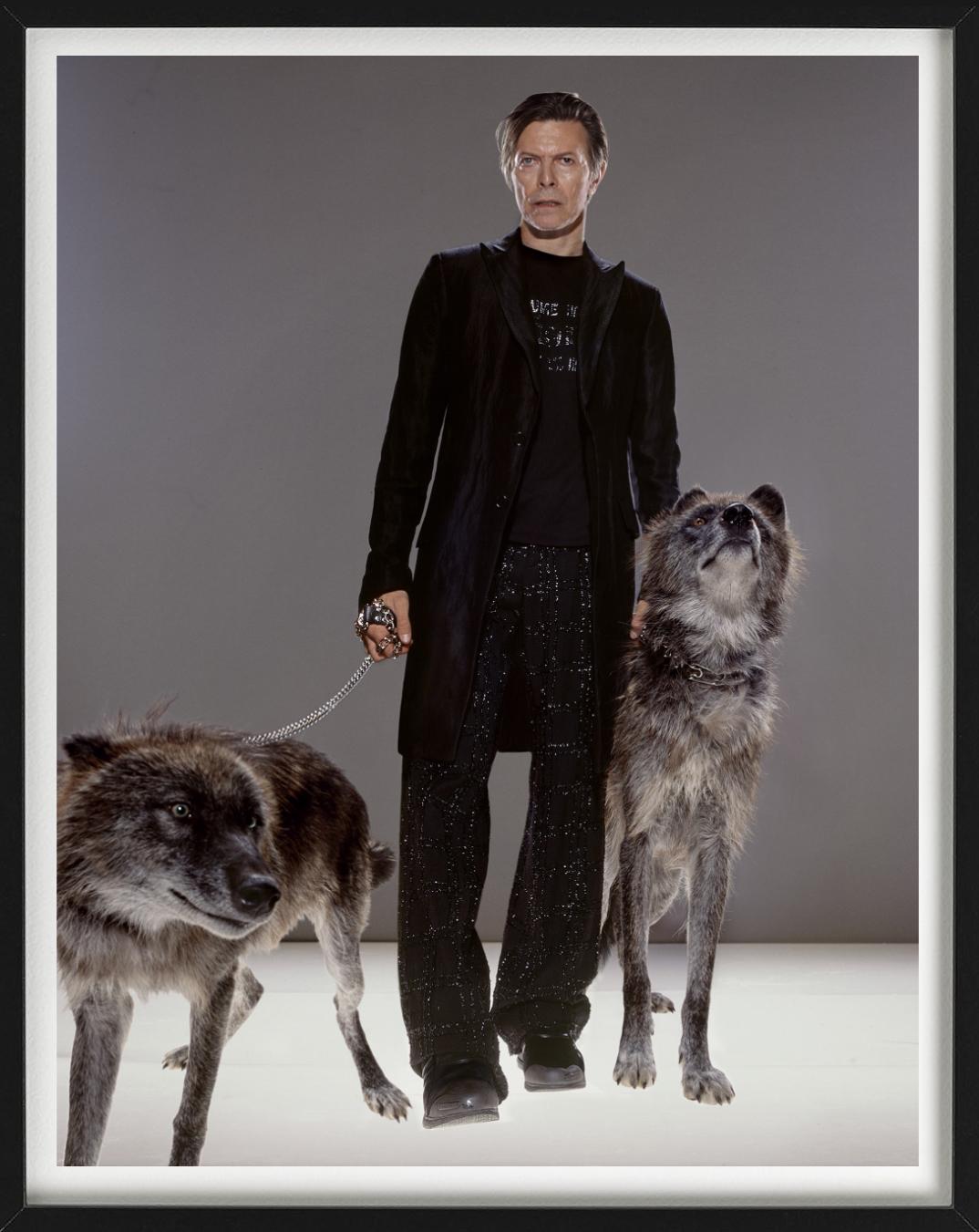 The Hunt - la superstar David Bowie con il lupo, Fine Art Photograpy - Figurative Photograph Nero di Markus Klinko