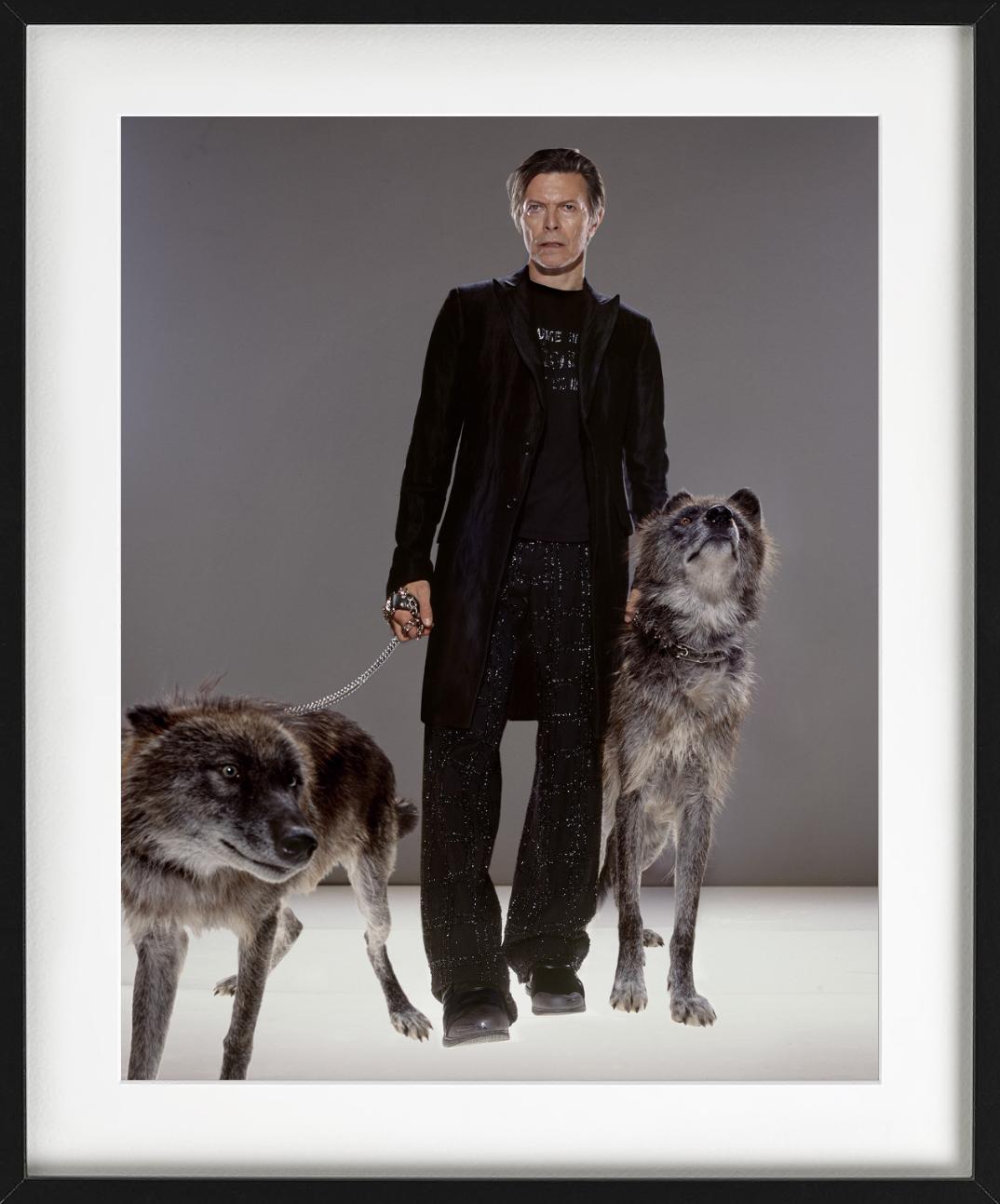 David Bowie a passeggio con due lupi, fotografato da Markus Klinko. 

Tutte le stampe sono in edizione limitata. Disponibile in più misure. Cornici di alto livello su richiesta.

Tutte le stampe sono realizzate e firmate dall'artista. Il