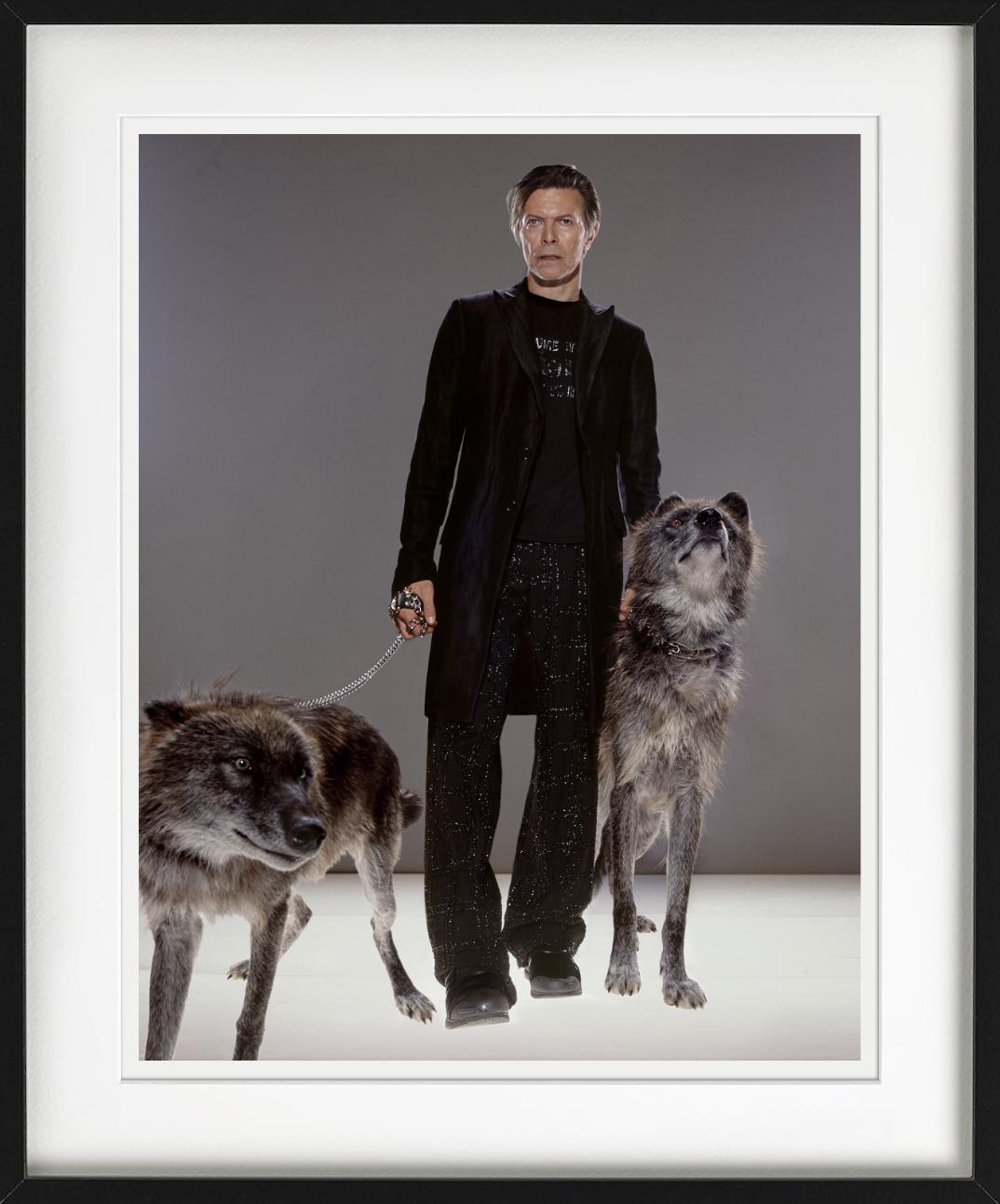 The Hunt - la superstar David Bowie con il lupo, Fine Art Photograpy in vendita 1