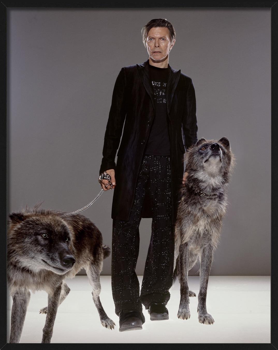 The Hunt - la superstar David Bowie con il lupo, Fine Art Photograpy in vendita 2