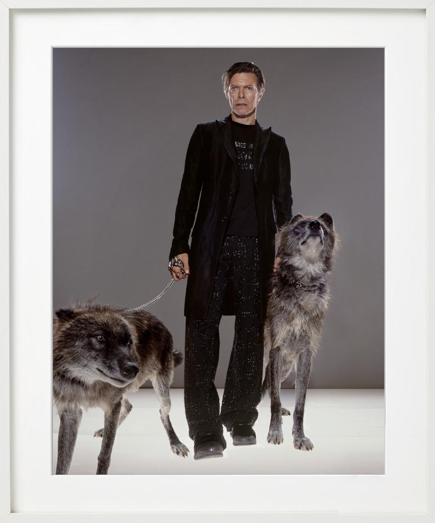 The Hunt - la superstar David Bowie con il lupo, Fine Art Photograpy in vendita 4