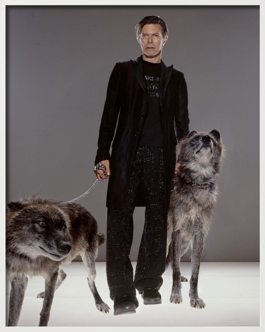The Hunt - la superstar David Bowie con il lupo, Fine Art Photograpy in vendita 5