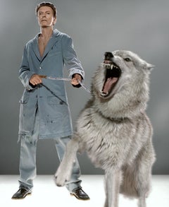 Le protecteur - superstar David Bowie en bleu avec loup rugissant