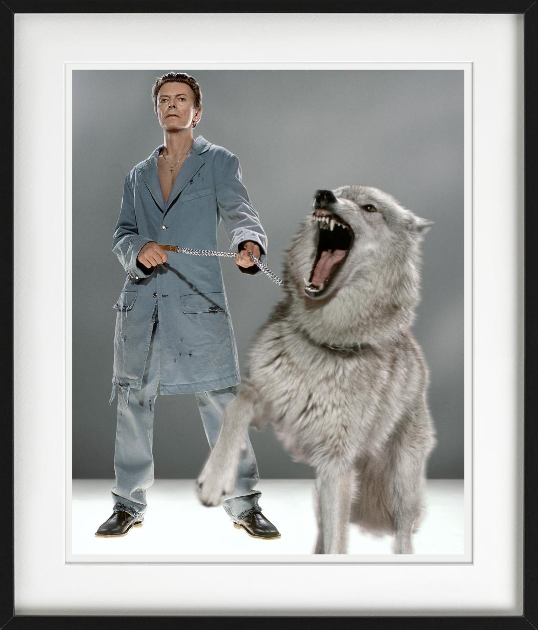 The Protector - David Bowie in abito blu con Wolfe, Fotografia d'autore, 2002 in vendita 6