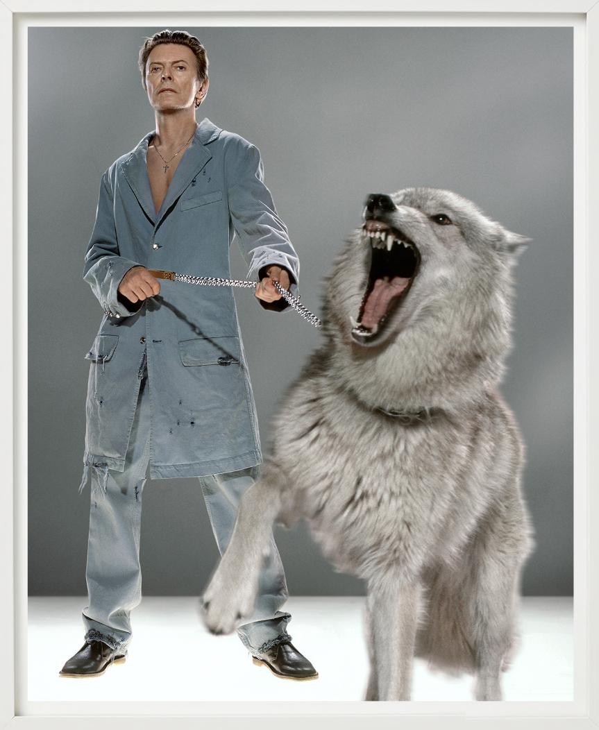 The Protector - David Bowie in abito blu con Wolfe, Fotografia d'autore, 2002 in vendita 7