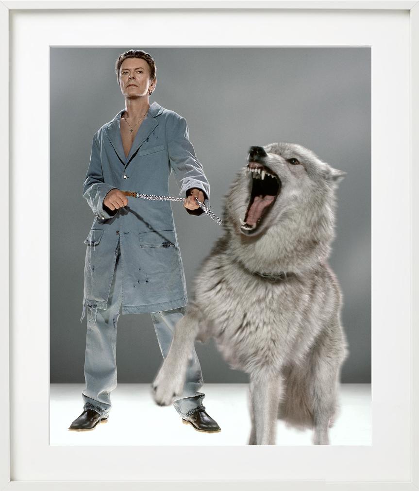 The Protector - David Bowie in abito blu con Wolfe, Fotografia d'autore, 2002 in vendita 1