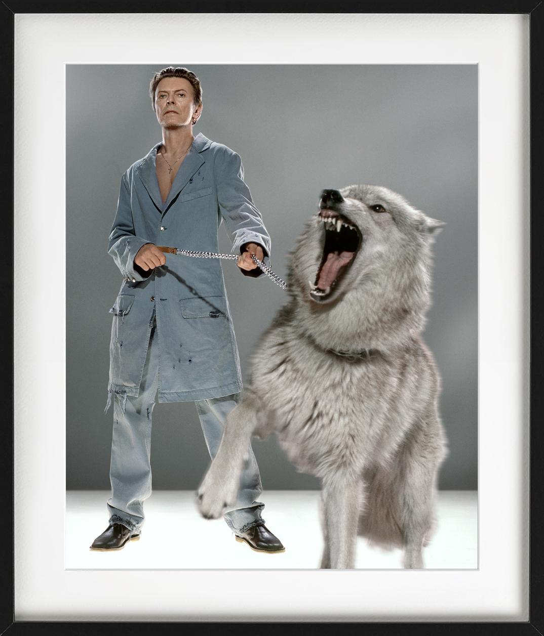 The Protector - David Bowie in abito blu con Wolfe, Fotografia d'autore, 2002 in vendita 3