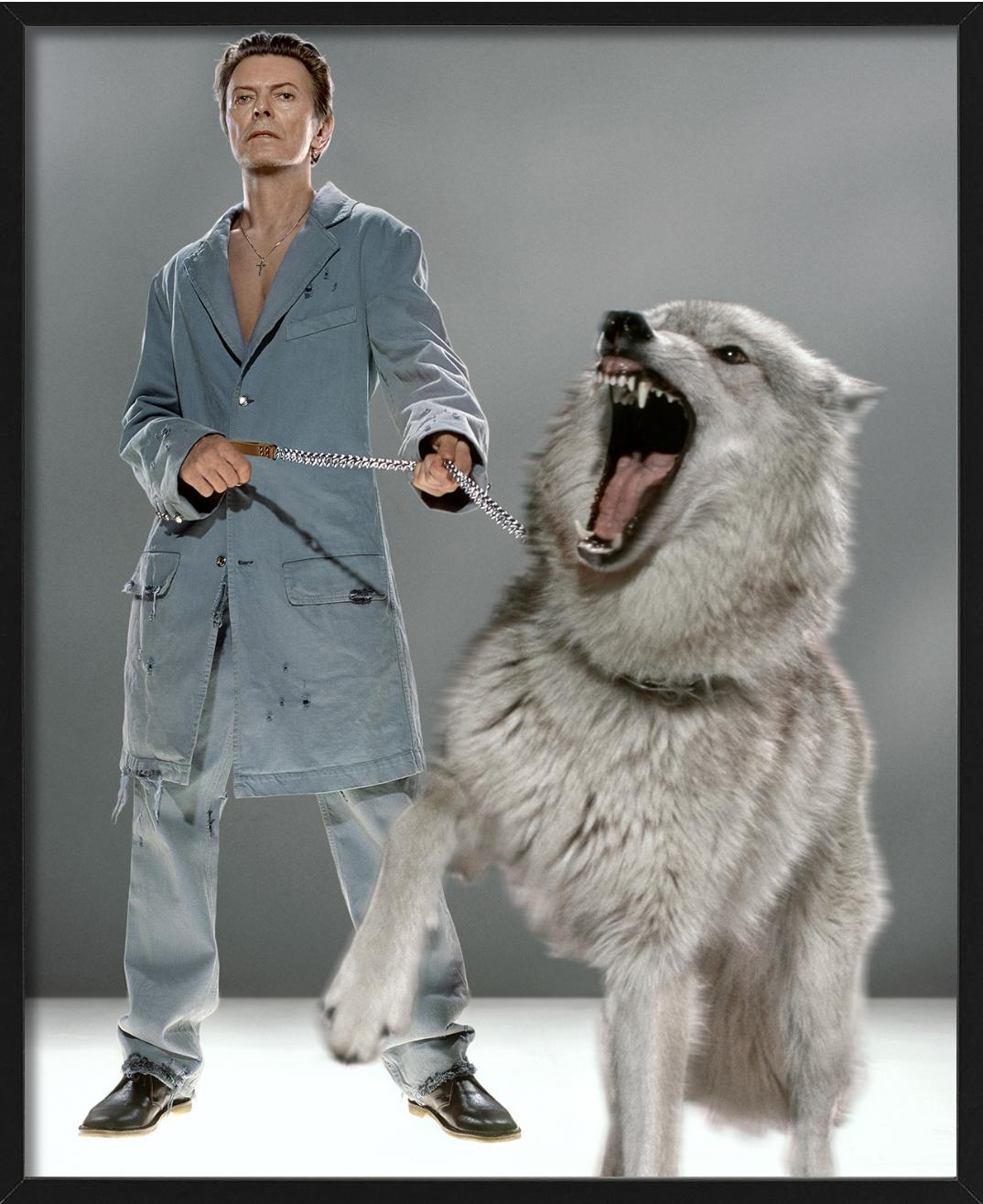 The Protector - David Bowie in abito blu con Wolfe, Fotografia d'autore, 2002 in vendita 4