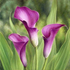 Calla Lilies, Painting, Oil on Canvas