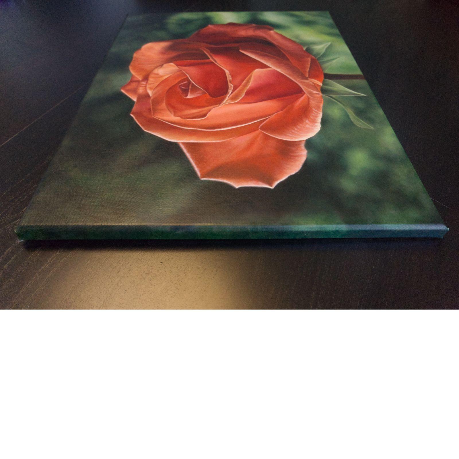 Luce del primo mattino, rosa, fiore, natura, Pittura, Olio su tela - Painting Realismo di Marlene Llanes