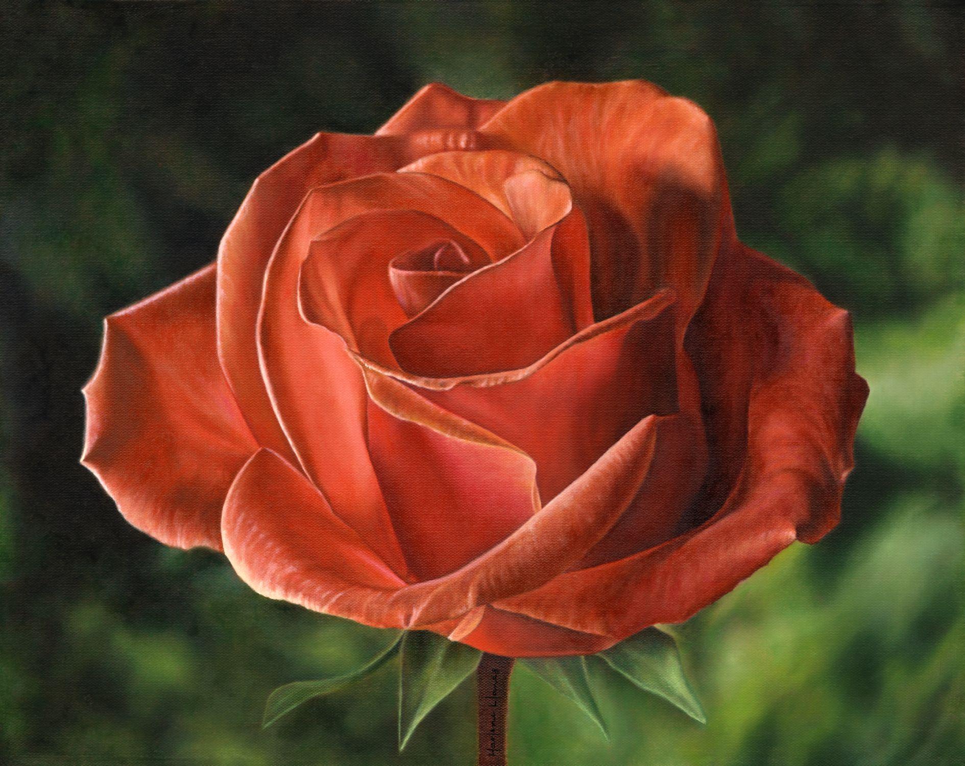 Luce del primo mattino, rosa, fiore, natura, Pittura, Olio su tela - Painting di Marlene Llanes