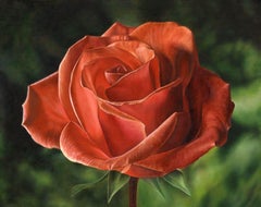 Early Morning Light, rose, flower, nature, Painting, Oil on Canvas