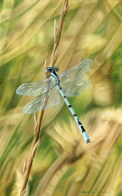 Let Me Borrow Your Wings, dragonfly insect art, Painting, Oil on Canvas