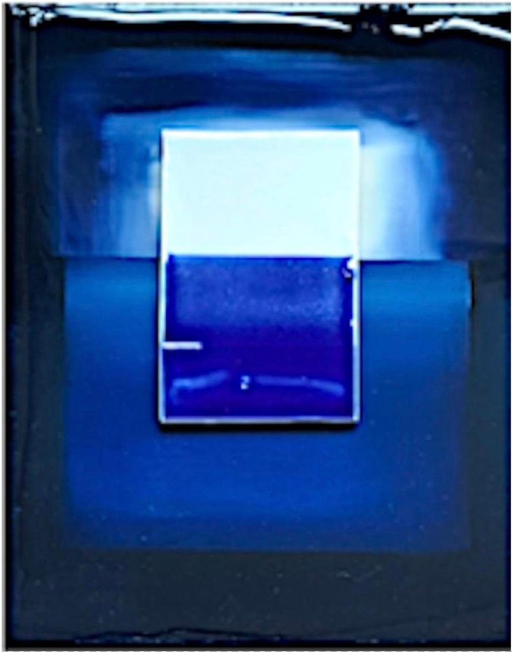 Indigo Blue