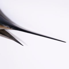 Marlin Skin Mount Taxidermy Fish