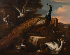A peacock surrounded by other birds, in a landscape