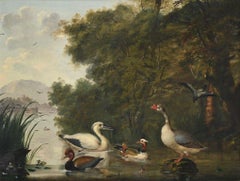 English 17th century painting of a pelican, goose and ducks