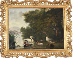 English 17th century painting of a pelican, goose and ducks