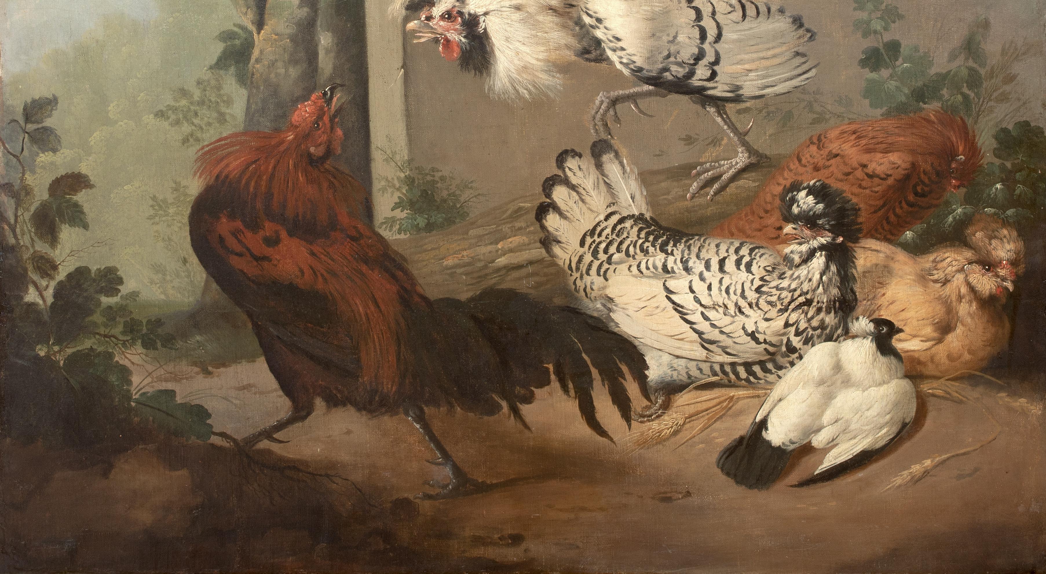 Fighting ornemental de hiboux, 18e siècle en vente 6