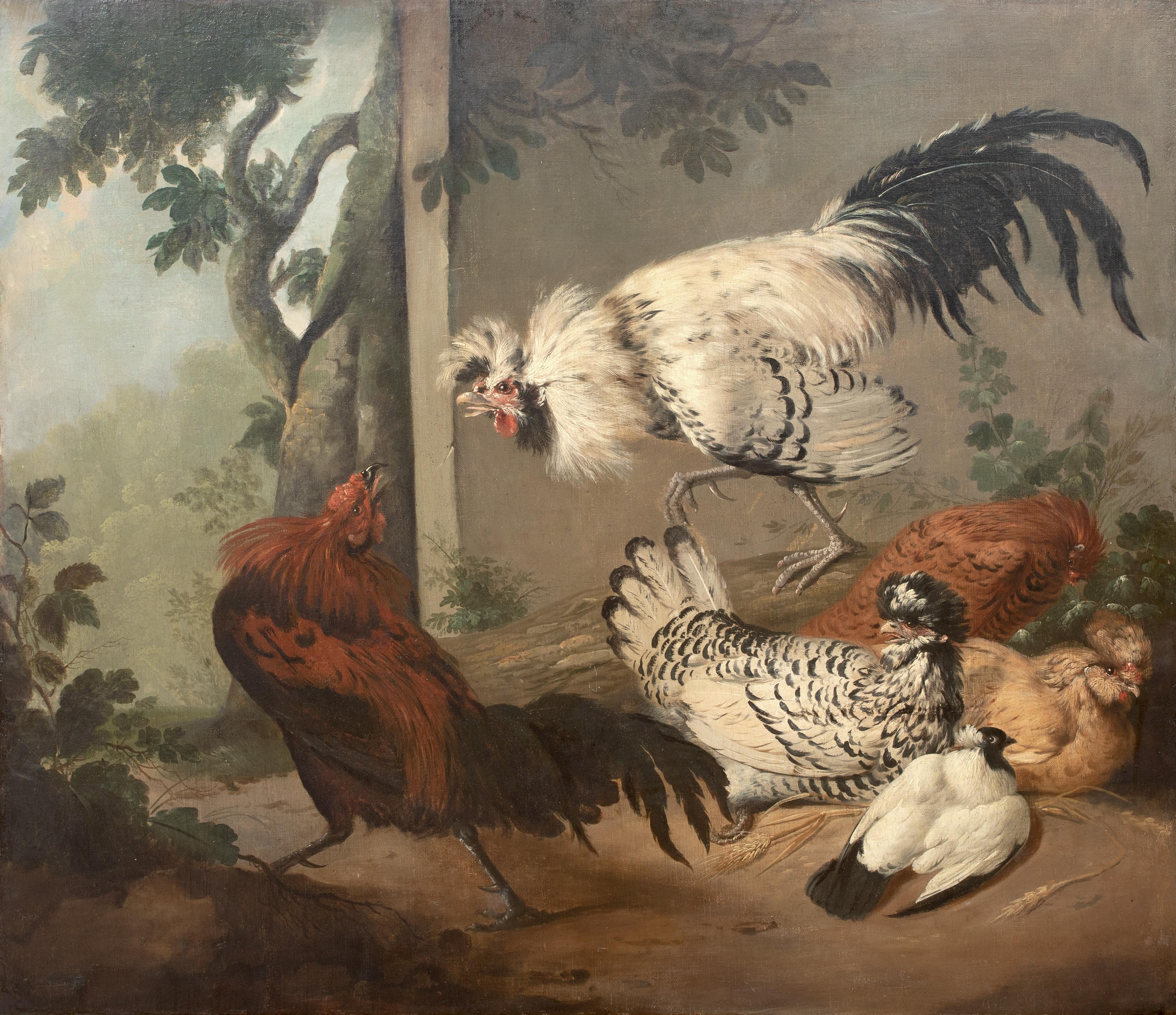Fighting ornemental de hiboux, 18e siècle - Marron Animal Painting par Marmaduke Cradock