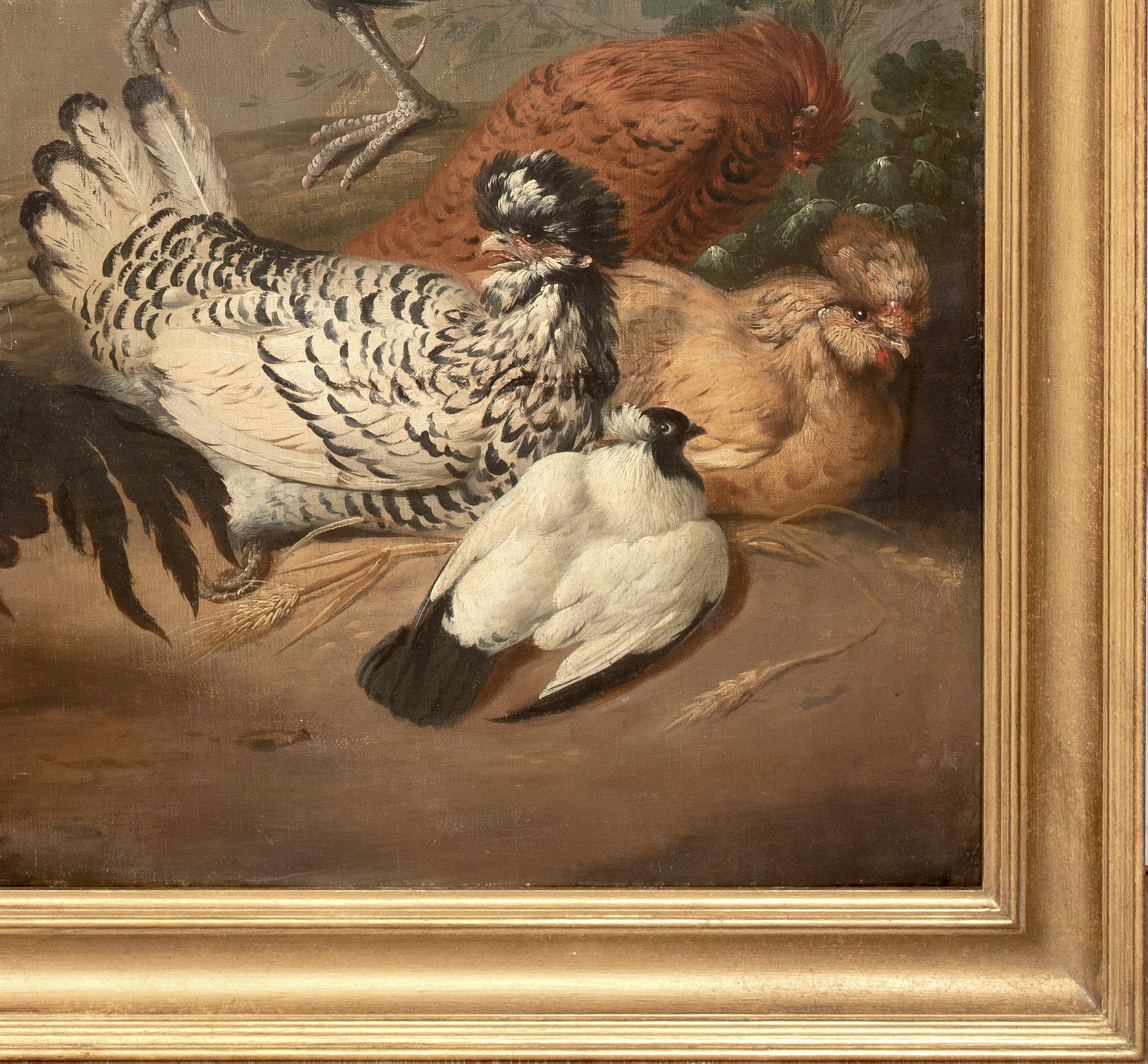 Combat de volailles d'ornement, vers 1700

attribué à MARMADUKE CRADOCK (1660-1716)

Grande scène vers 1700 Scène d'oiseaux d'ornement défendant la poule et les poussins, huile sur toile attribuée à Marmaduke Cradock. Scène de jardin à grande
