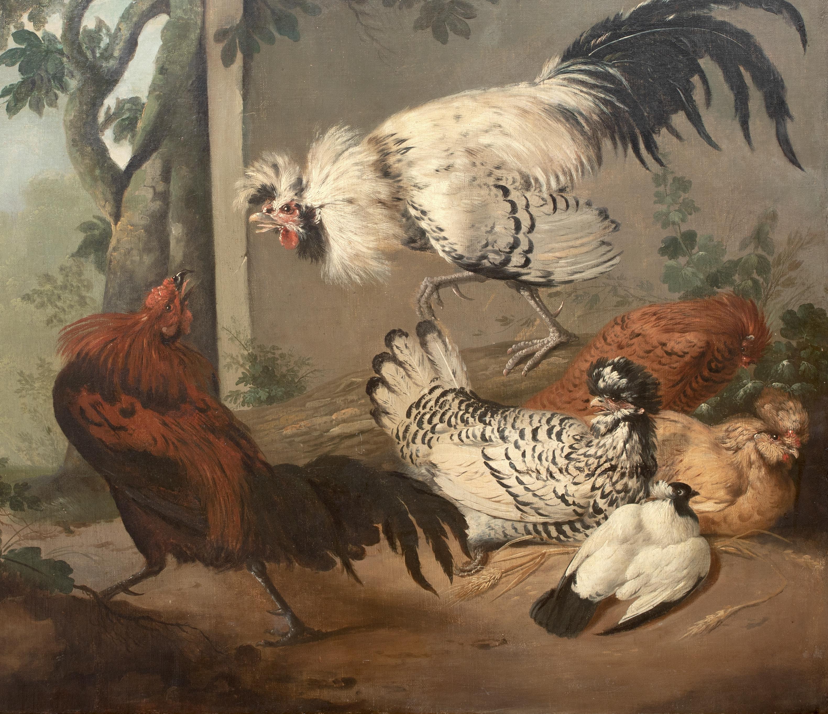 Fighting ornemental de hiboux, 18e siècle en vente 1