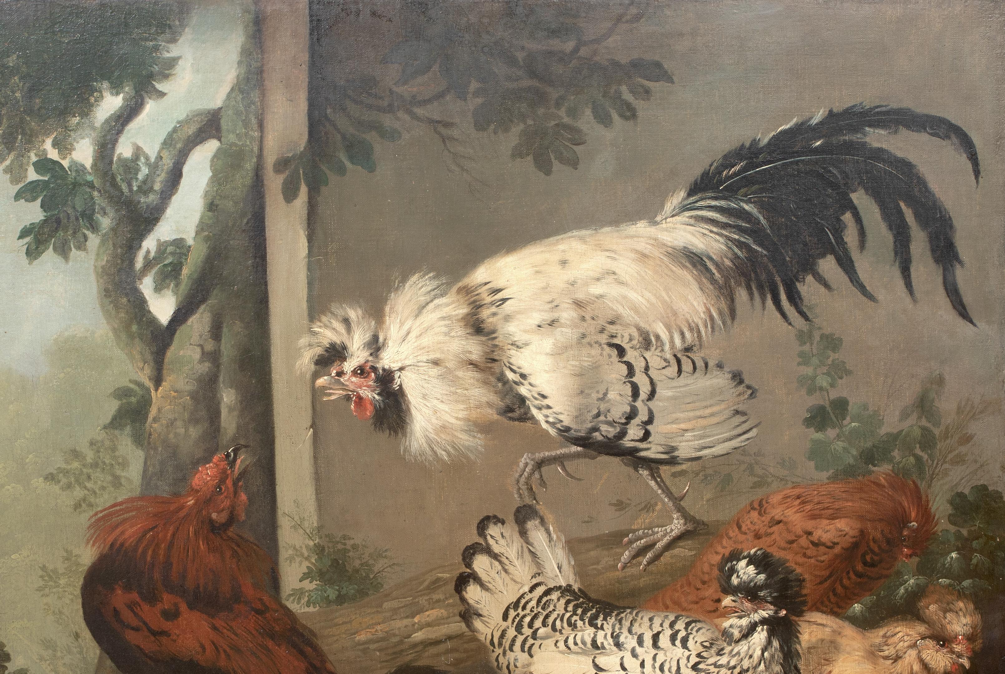 Fighting ornemental de hiboux, 18e siècle en vente 2
