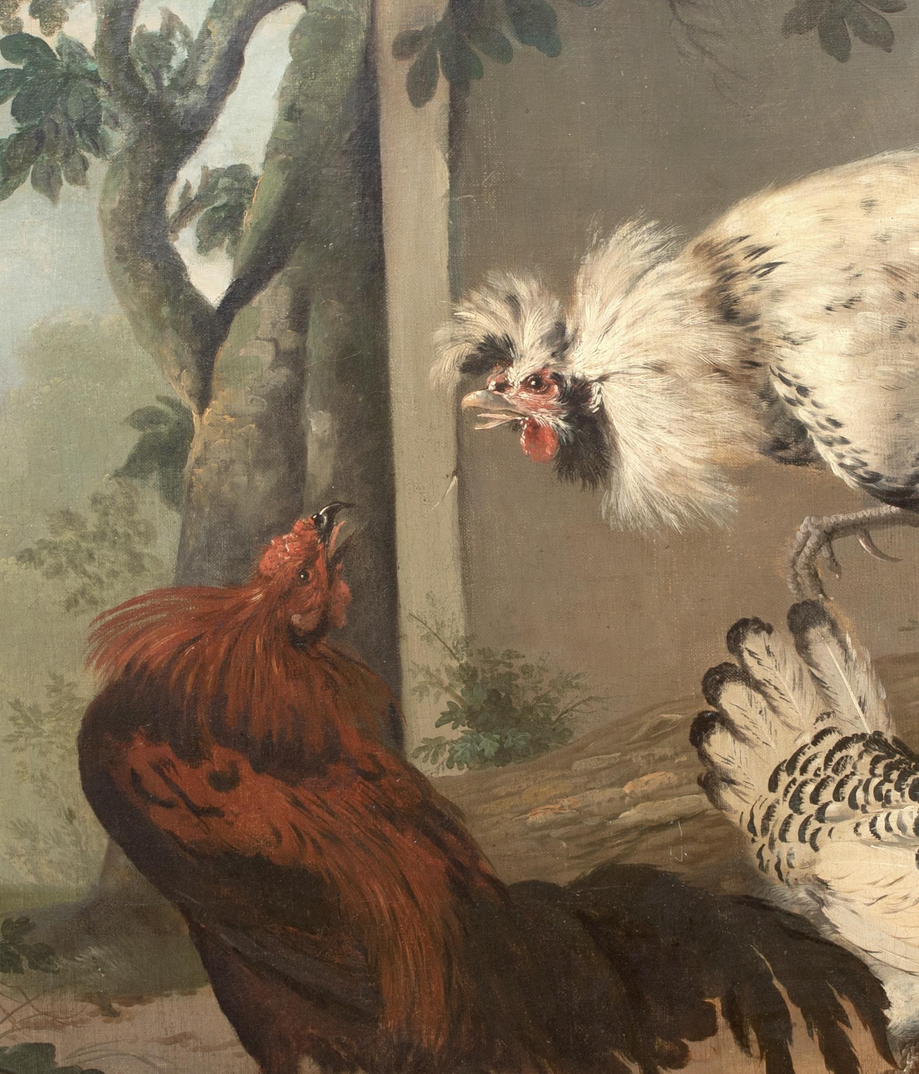 Fighting ornemental de hiboux, 18e siècle en vente 3