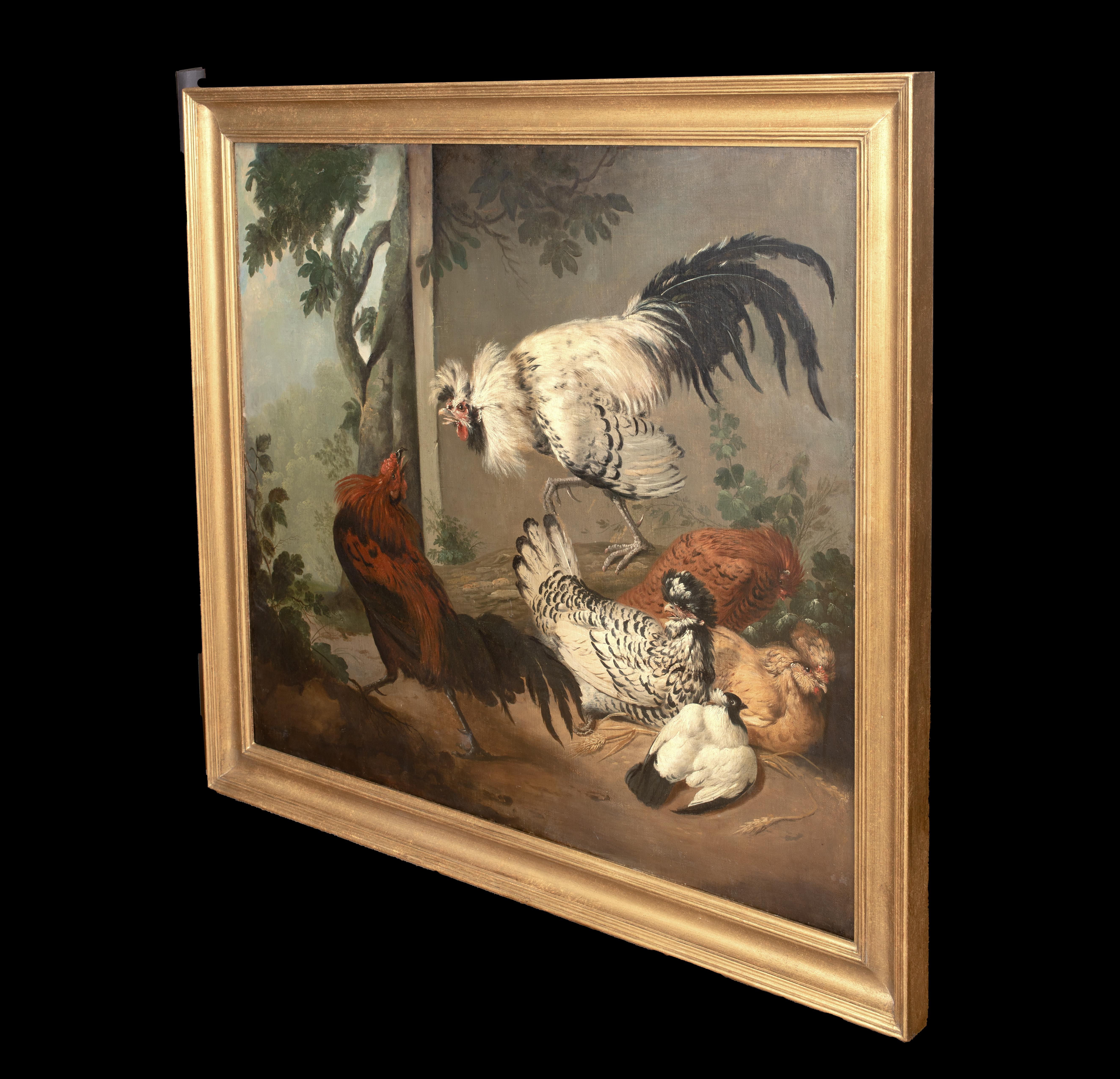 Fighting ornemental de hiboux, 18e siècle en vente 4