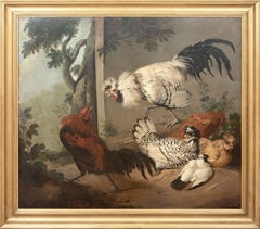 Lucha de aves ornamentales, siglo XVIII