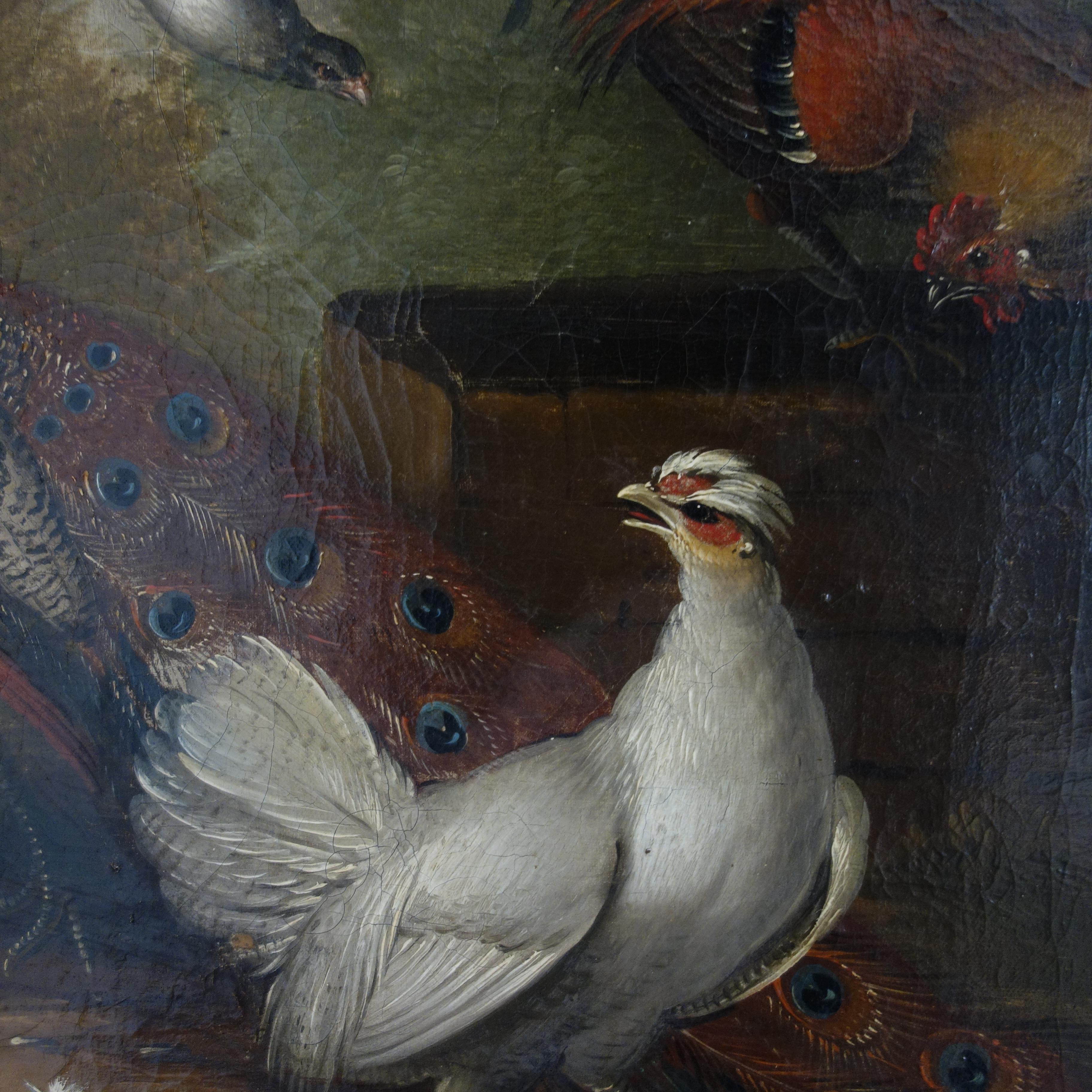 Coppia di dipinti a olio del XVII secolo raffiguranti pavoni e altri uccelli in un paesaggio 8