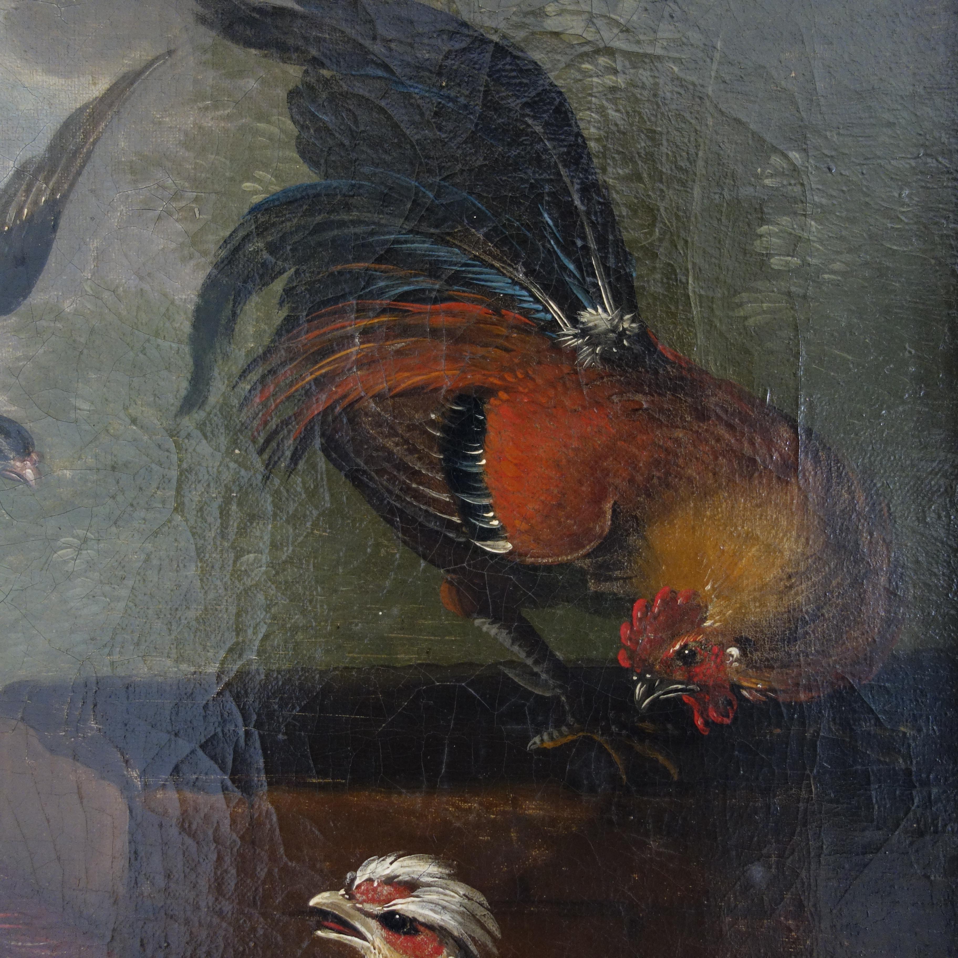 Coppia di dipinti a olio del XVII secolo raffiguranti pavoni e altri uccelli in un paesaggio 9