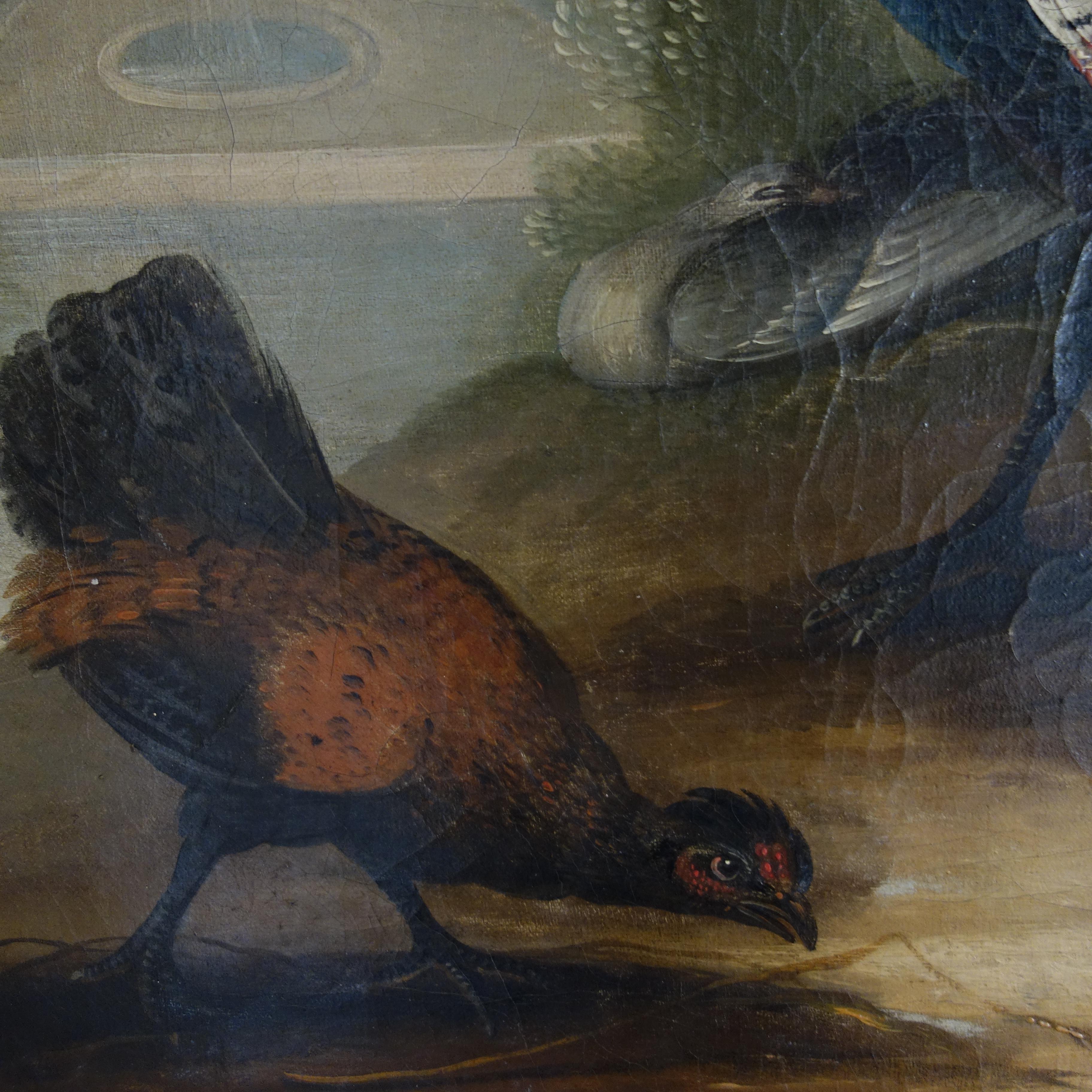 Coppia di dipinti a olio del XVII secolo raffiguranti pavoni e altri uccelli in un paesaggio 10