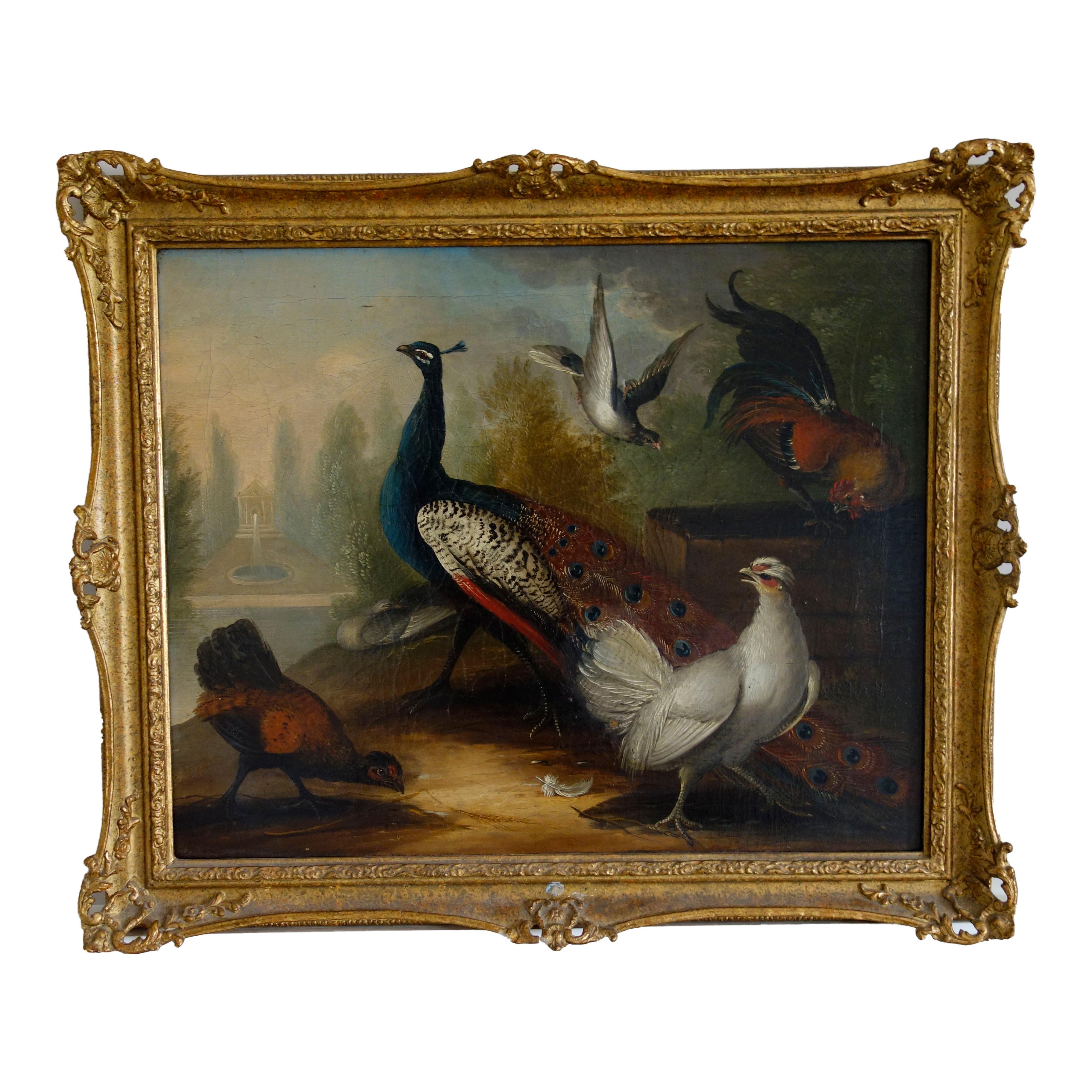Coppia di dipinti a olio del XVII secolo raffiguranti pavoni e altri uccelli in un paesaggio 11