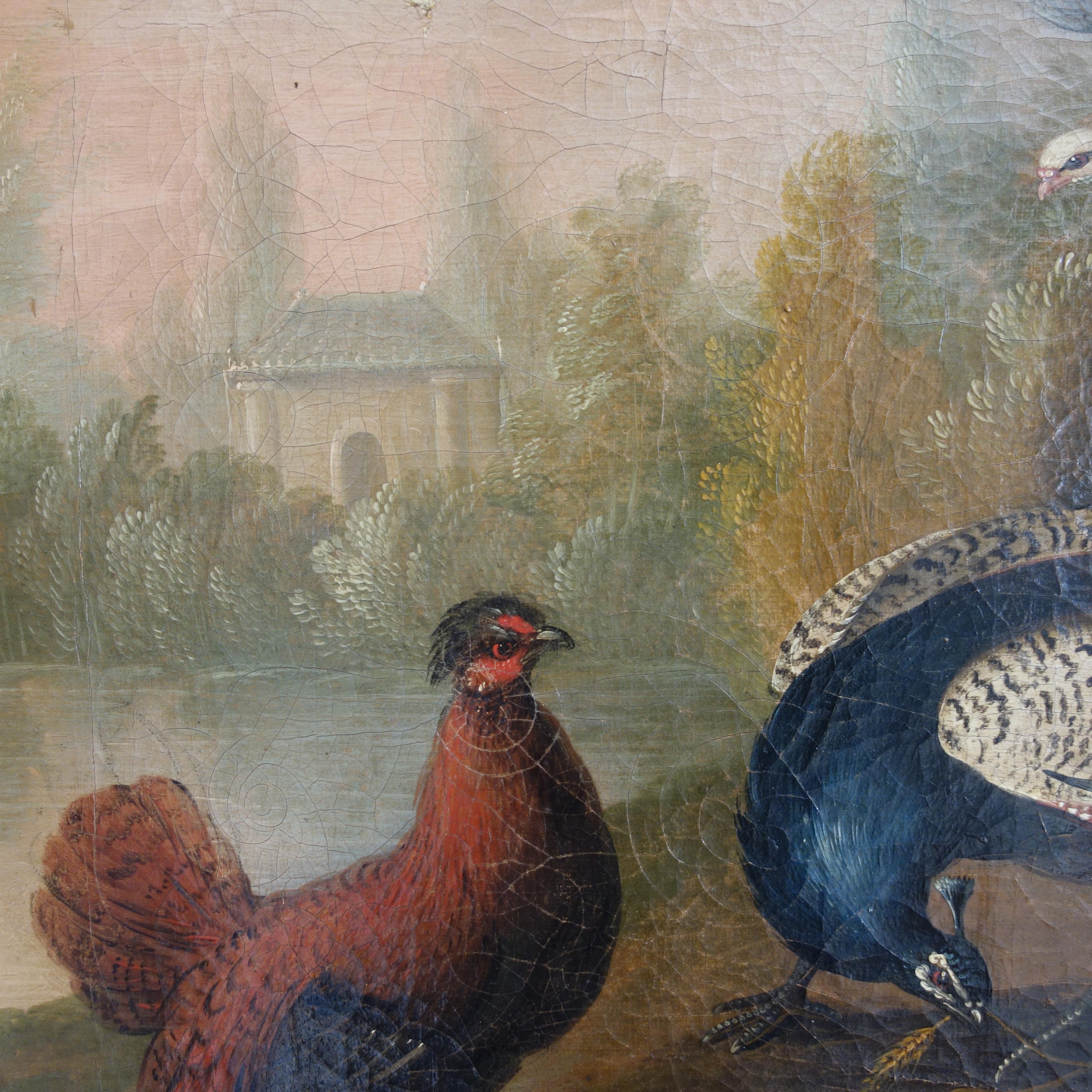 Si prega di notare che il prezzo indicato (e la misura) si riferisce a entrambi i dipinti insieme. 
Coppia di dipinti a olio del XVII secolo raffiguranti pavoni e altri uccelli ornamentali in un paesaggio da giardino. Questa coppia di dipinti