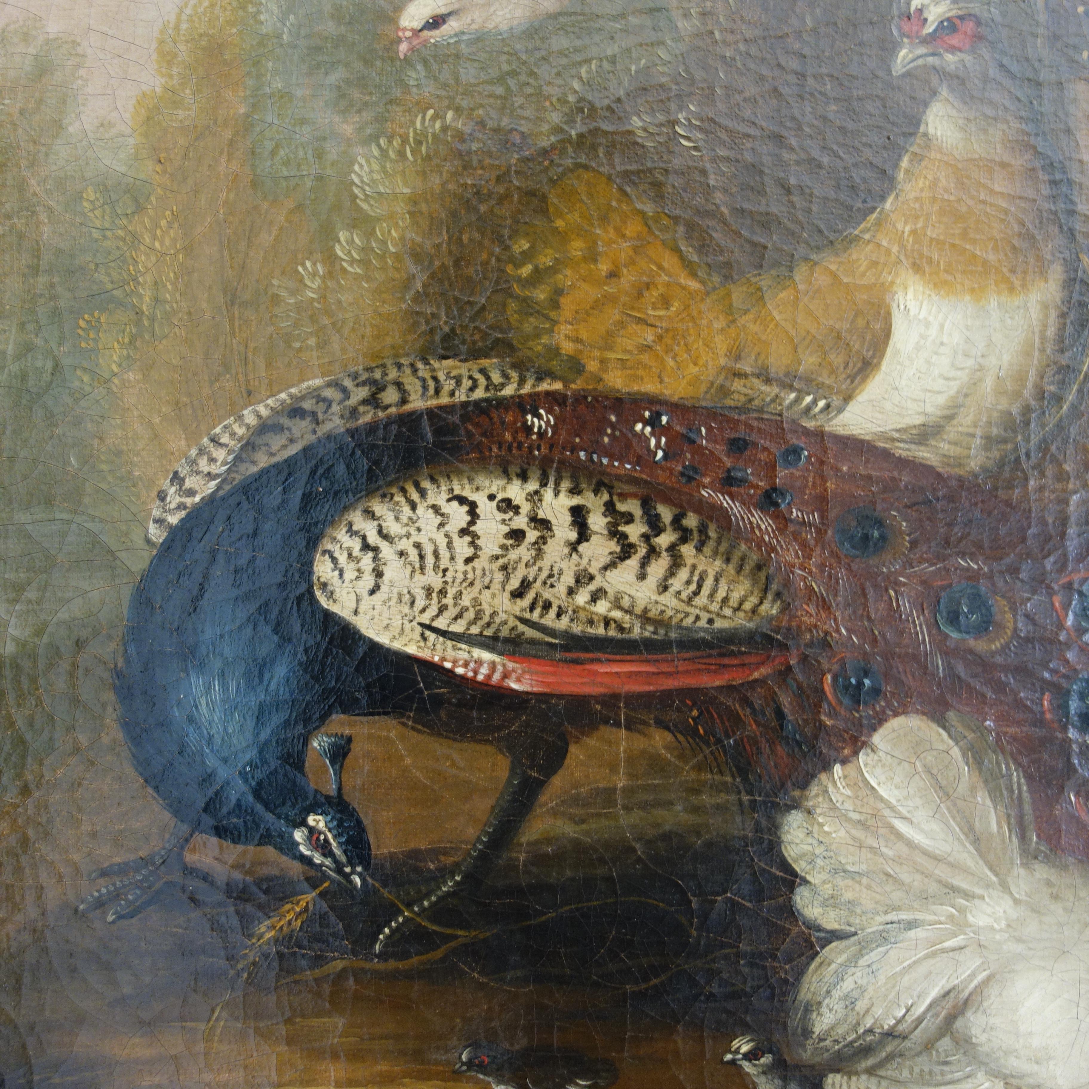 Coppia di dipinti a olio del XVII secolo raffiguranti pavoni e altri uccelli in un paesaggio 1