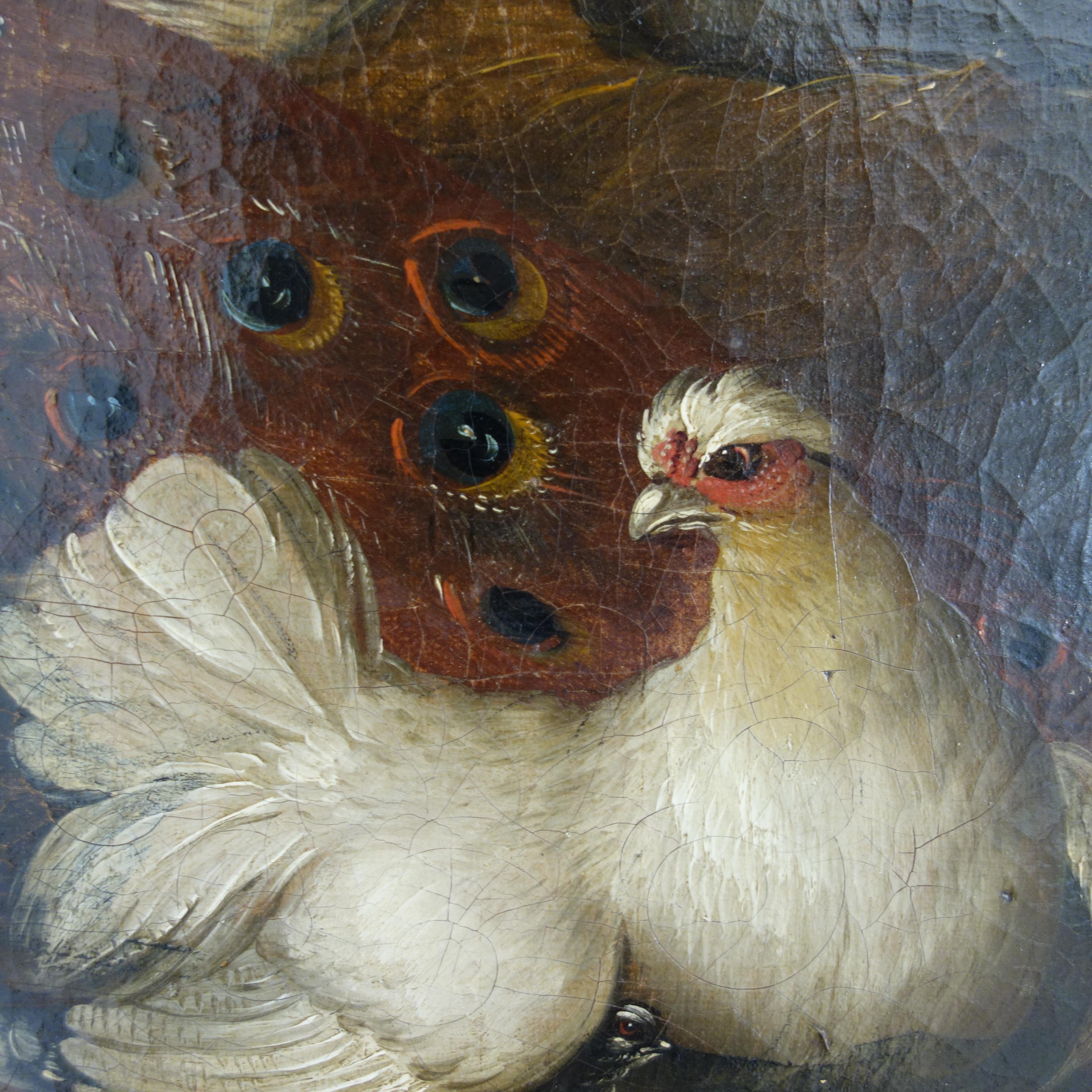 Coppia di dipinti a olio del XVII secolo raffiguranti pavoni e altri uccelli in un paesaggio 2