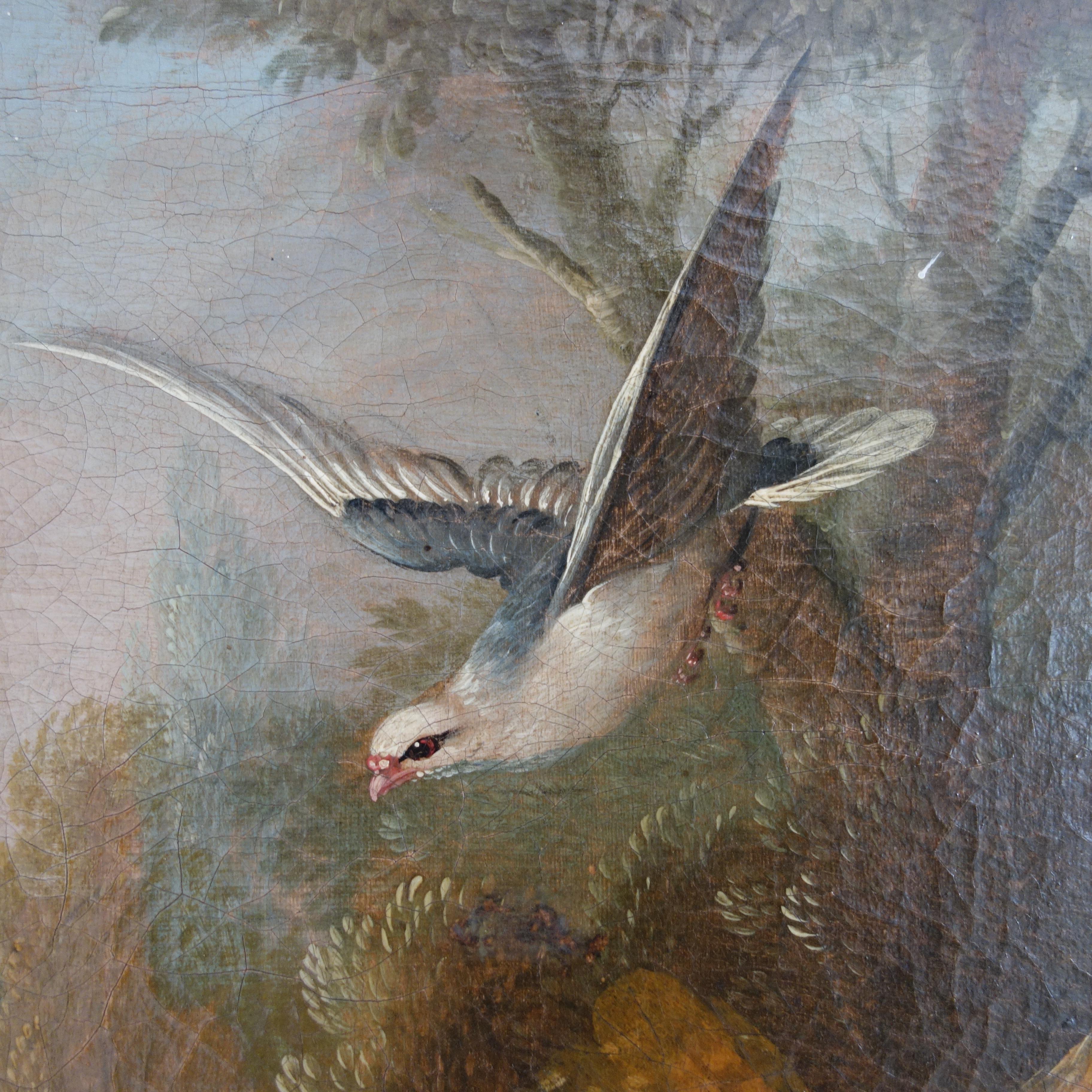 Coppia di dipinti a olio del XVII secolo raffiguranti pavoni e altri uccelli in un paesaggio 3