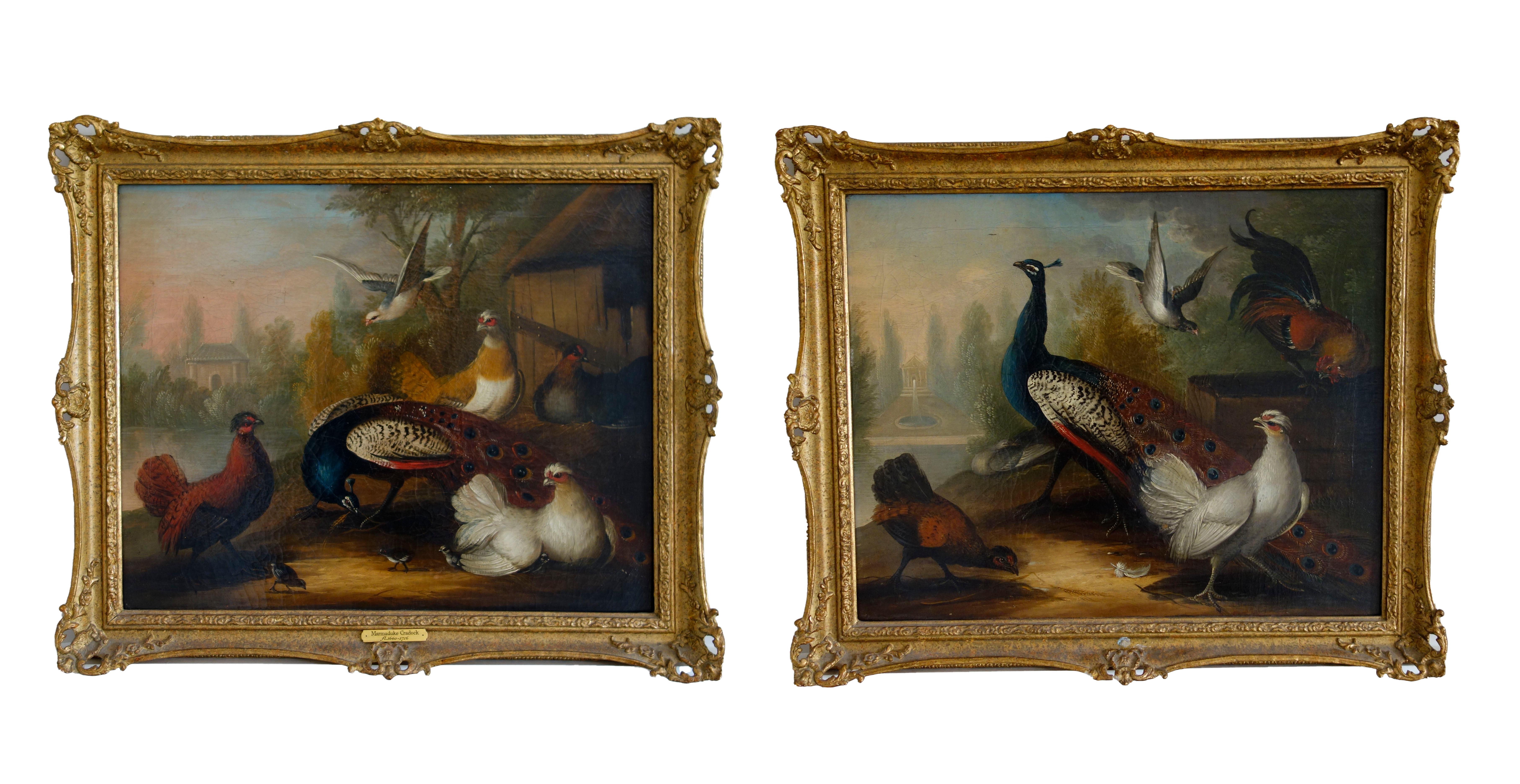 Coppia di dipinti a olio del XVII secolo raffiguranti pavoni e altri uccelli in un paesaggio - Painting di Marmaduke Cradock