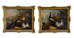 Pair of 17th century oil paintings of peacocks and other birds in a landscape
