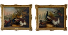 Paire de peintures à l'huile du XVIIe siècle représentant des paons et d'autres oiseaux dans un paysage