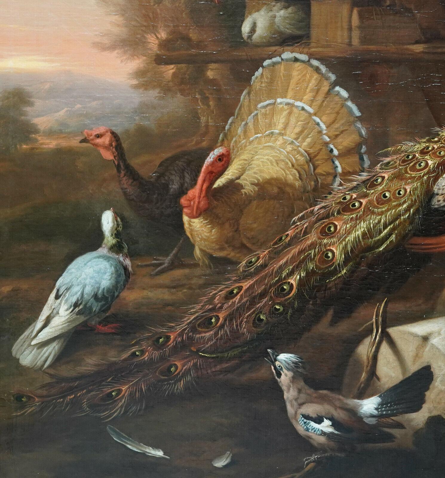 Peacock and Birds in a Landscape - British 17thC Old Master animal oil painting For Sale 6