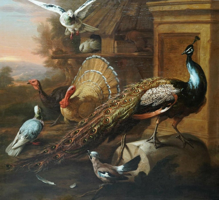 Pavone e uccelli in un paesaggio - dipinto a olio su animali di un vecchio  maestro britannico del XVII secolo in vendita su 1stDibs