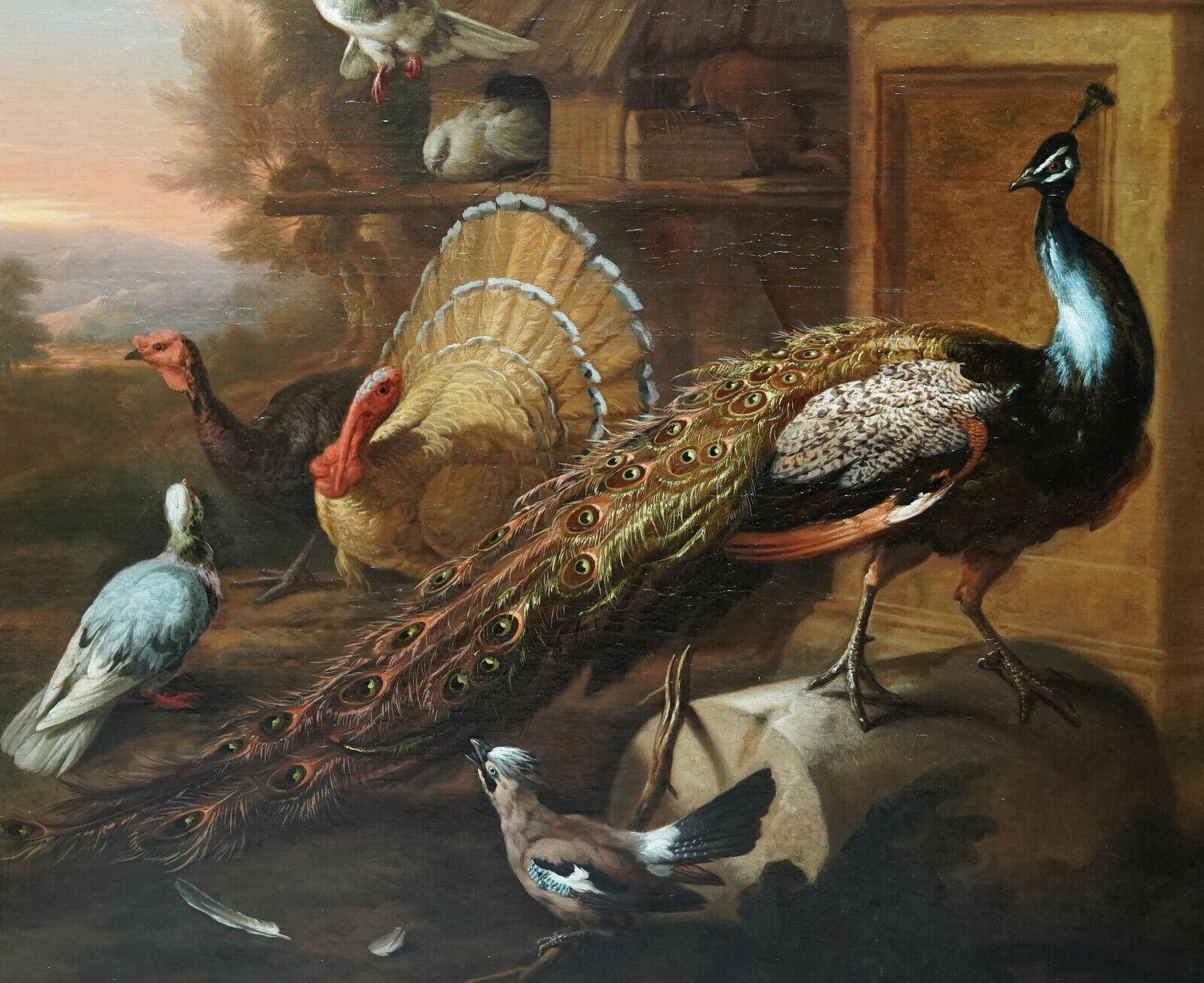 Peacock and Birds in a Landscape - British 17thC Old Master animal oil painting - Old Masters Painting by Marmaduke Cradock
